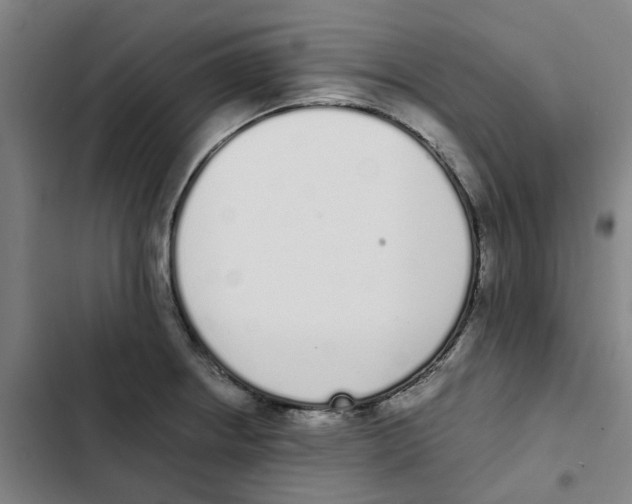 X0000102371234200808291241