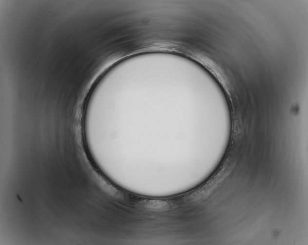 X0000102371235200808291241
