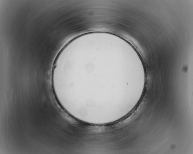 X0000102371236200808291241