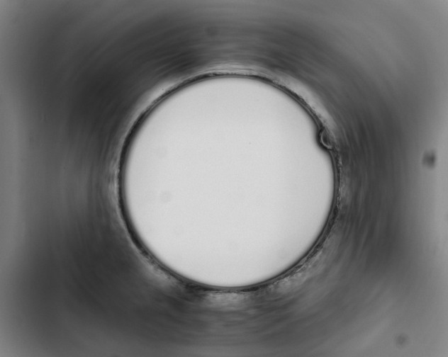 X0000102371237200808291241