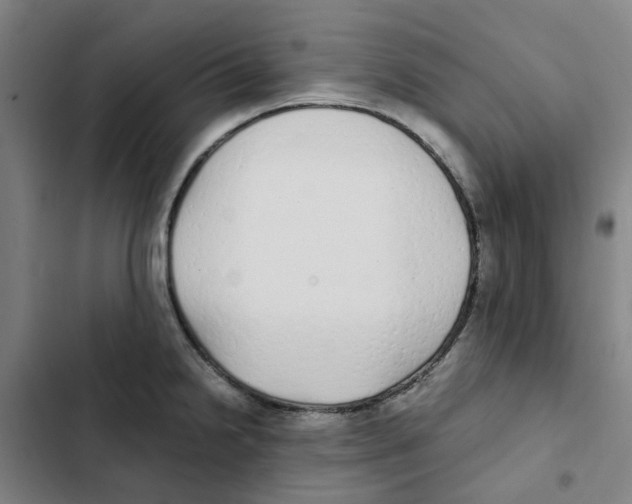 X0000102371238200808291241