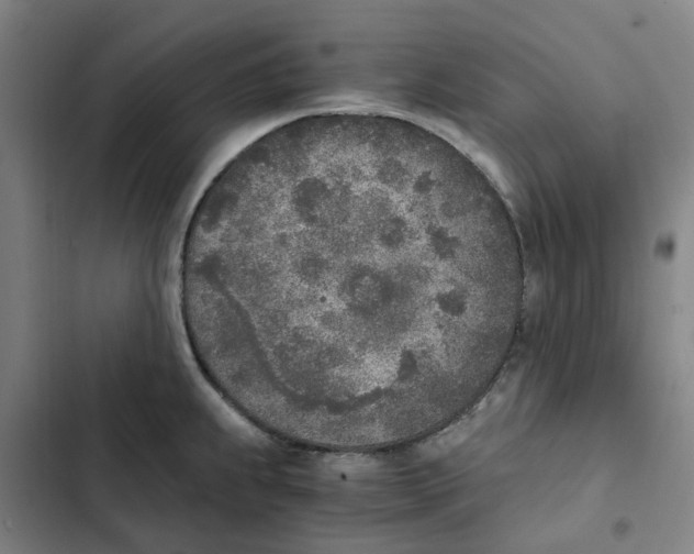 X0000102371239200808291241