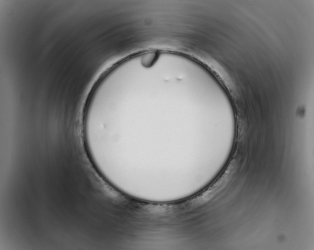 X0000102371240200808291241