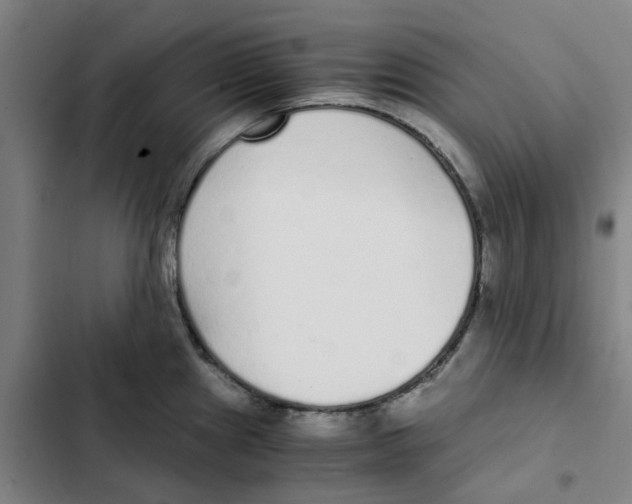 X0000102371241200808291241