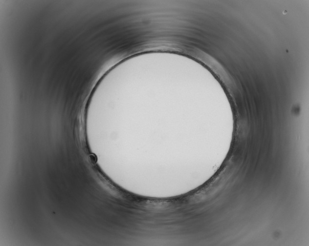 X0000102371242200808291241