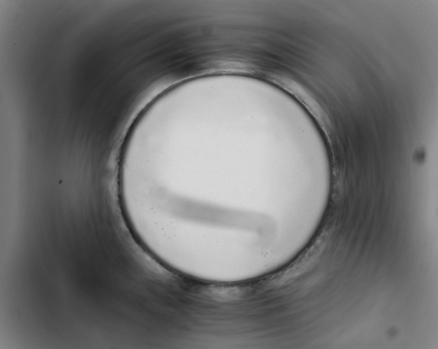 X0000102371243200808291241