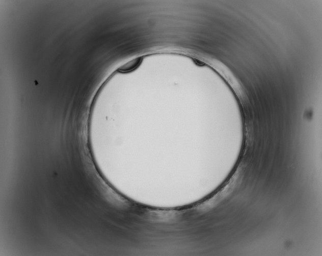 X0000102371244200808291241