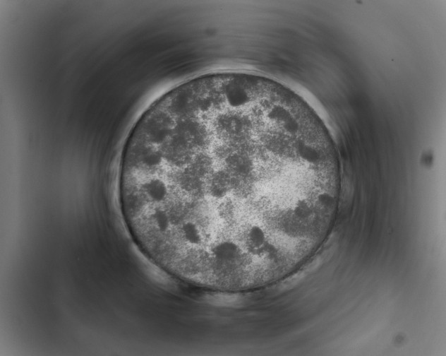 X0000102371245200808291241