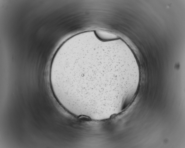 X0000102371246200808291241