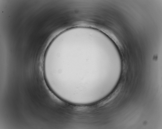 X0000102371247200808291241