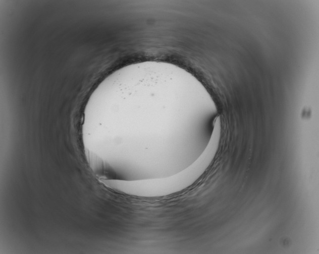 X0000102371249200808291241