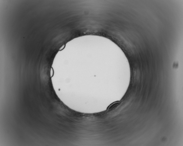 X0000102371250200808291241