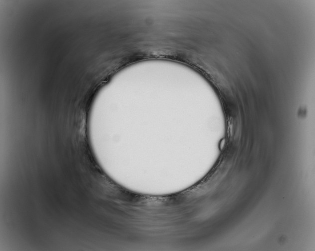 X0000102371251200808291241