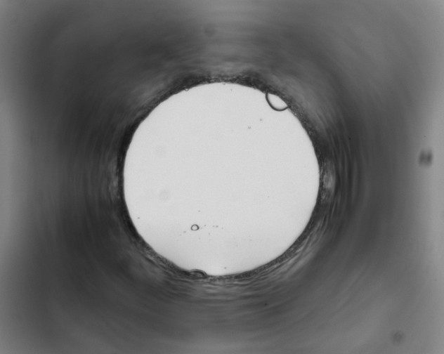X0000102371252200808291241