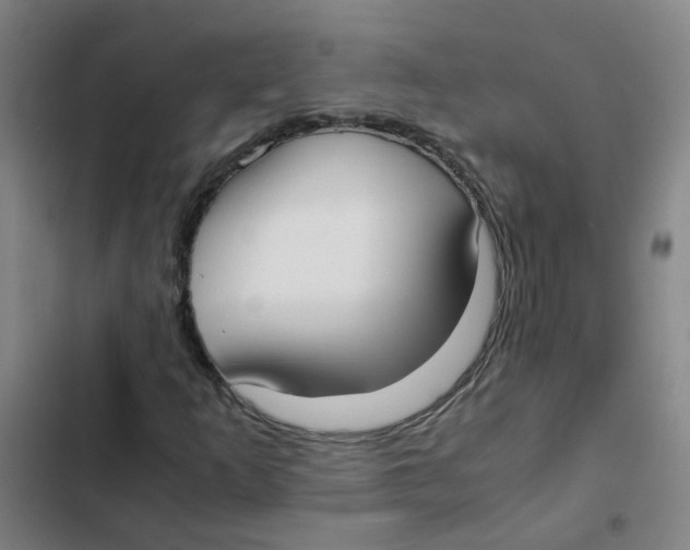 X0000102371253200808291241