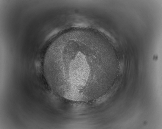X0000102371254200808291241