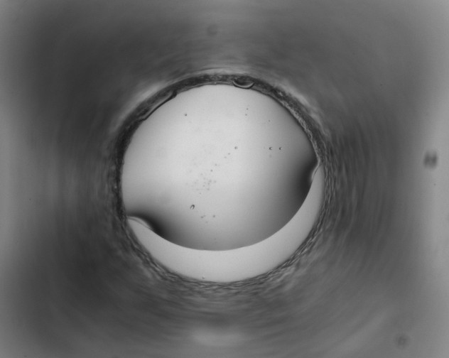 X0000102371255200808291241