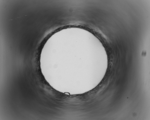 X0000102371256200808291241