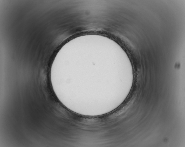 X0000102371257200808291241