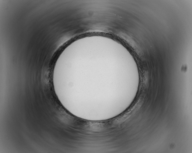 X0000102371258200808291241