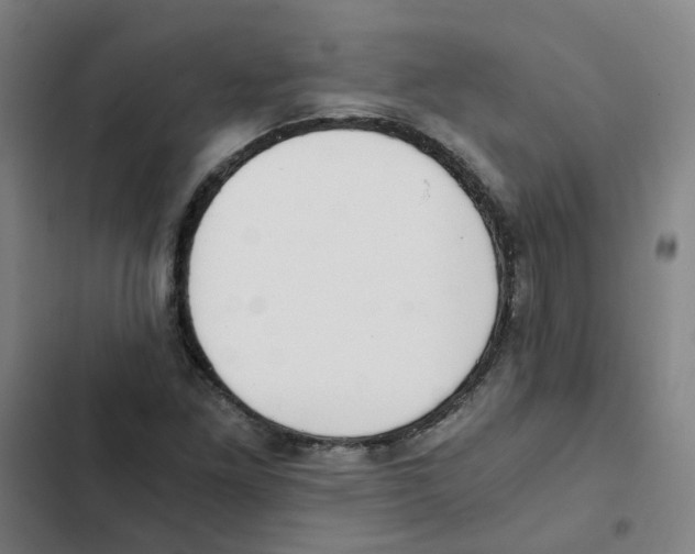 X0000102371261200808291240