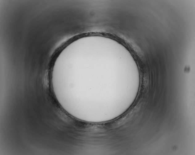 X0000102371262200808291240
