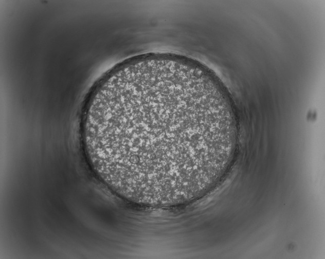 X0000102371263200808291240
