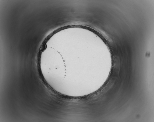 X0000102371264200808291240