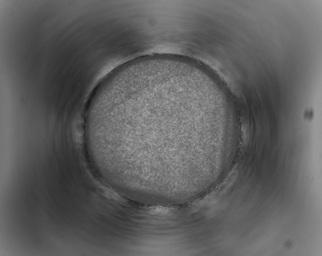 X0000102371266200808291240