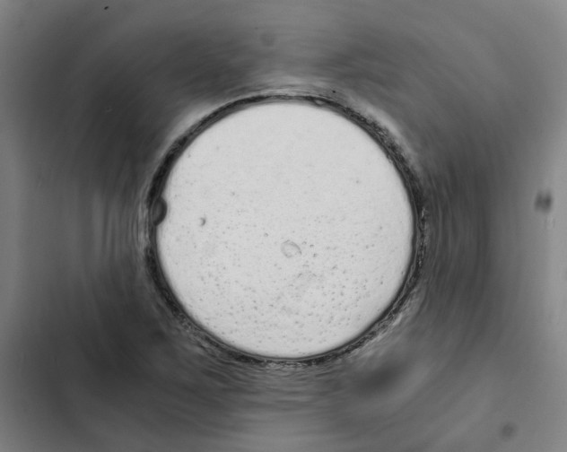 X0000102371267200808291240