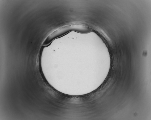 X0000102371268200808291240