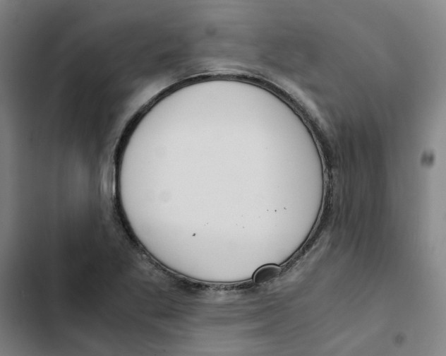 X0000102371269200808291240