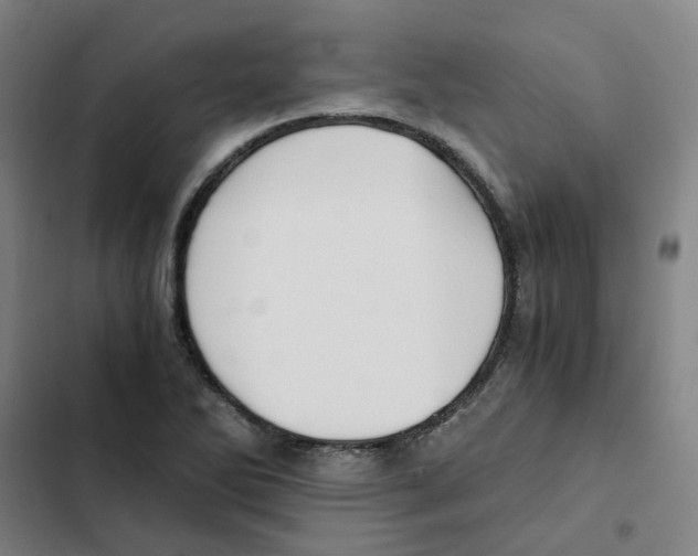 X0000102371270200808291240