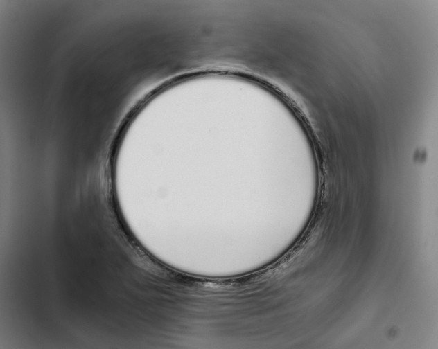 X0000102371271200808291240