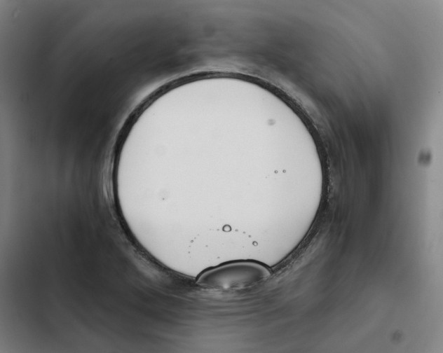 X0000102371272200808291240