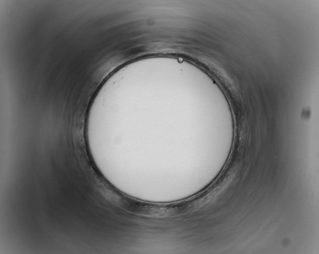 X0000102371273200808291240
