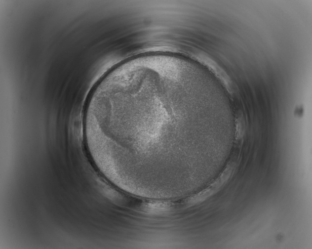 X0000102371274200808291240