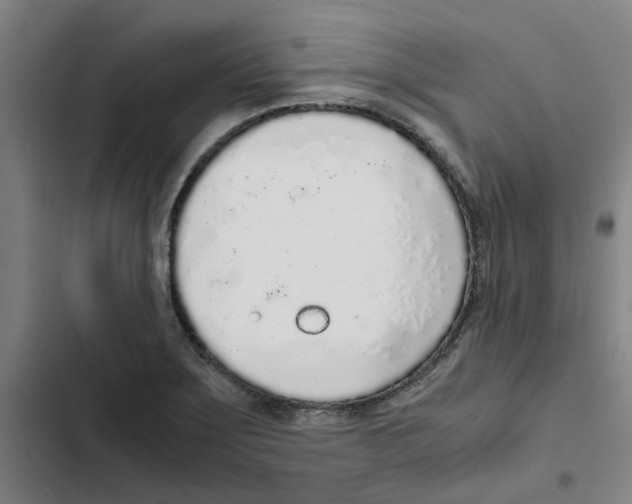 X0000102371275200808291240
