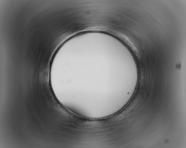 X0000102371276200808291240
