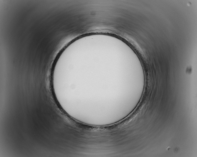 X0000102371277200808291240