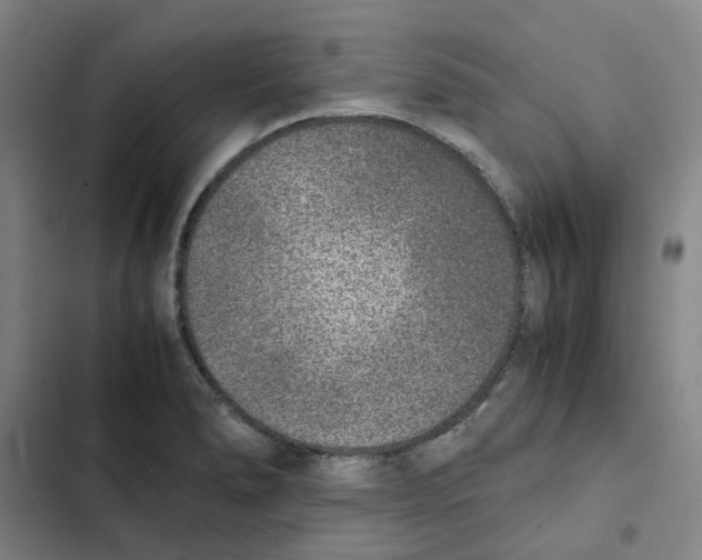 X0000102371278200808291240