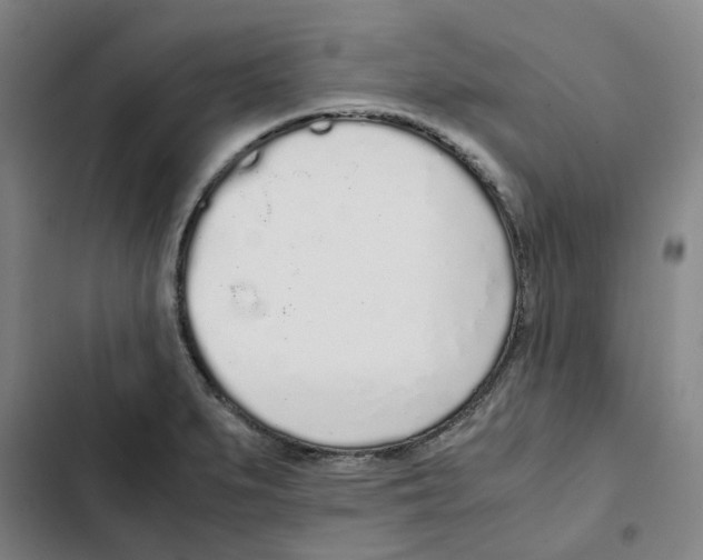 X0000102371279200808291240
