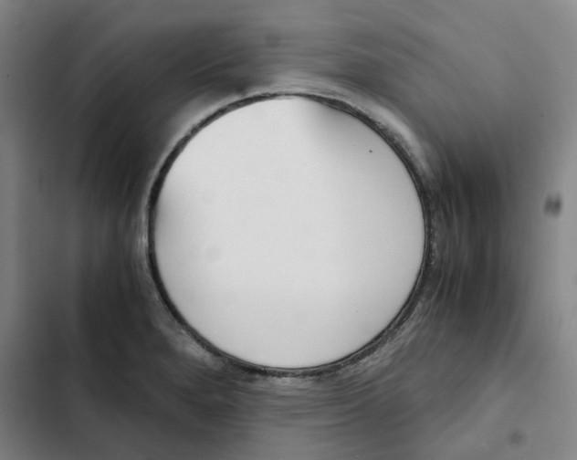 X0000102371280200808291240