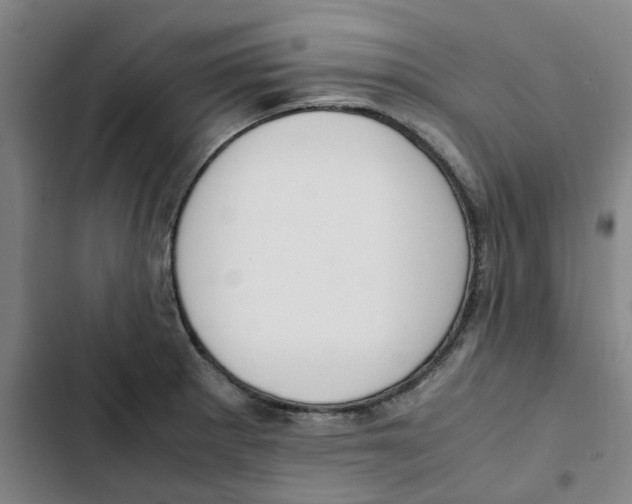 X0000102371281200808291240