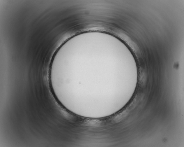 X0000102371282200808291240