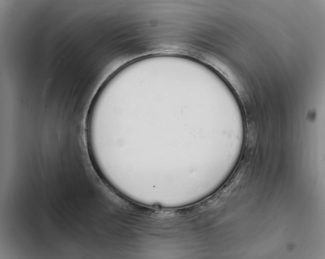 X0000102371283200808291240