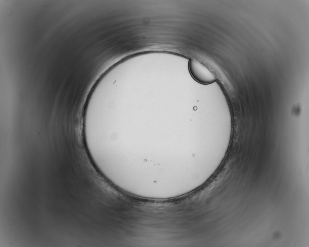 X0000102371284200808291240