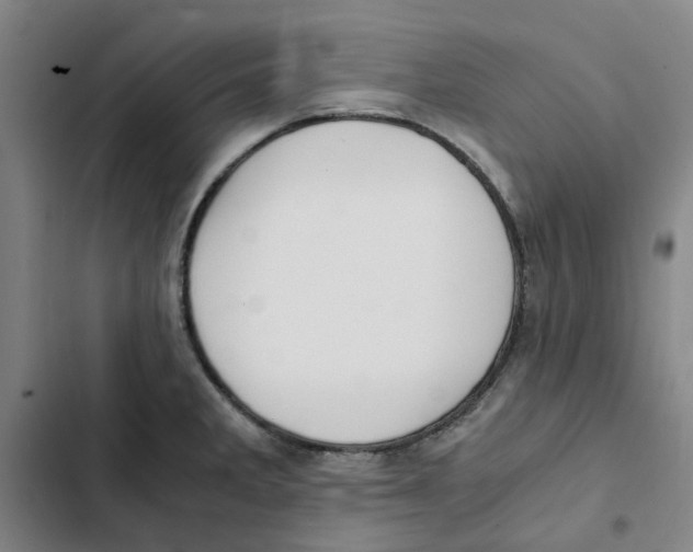 X0000102371285200808291240