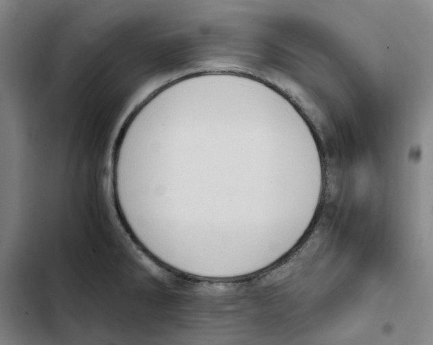 X0000102371286200808291240