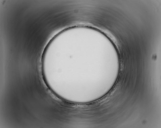 X0000102371287200808291240